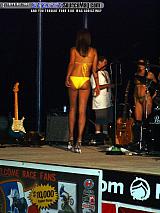 dryoff Show Images Page 13